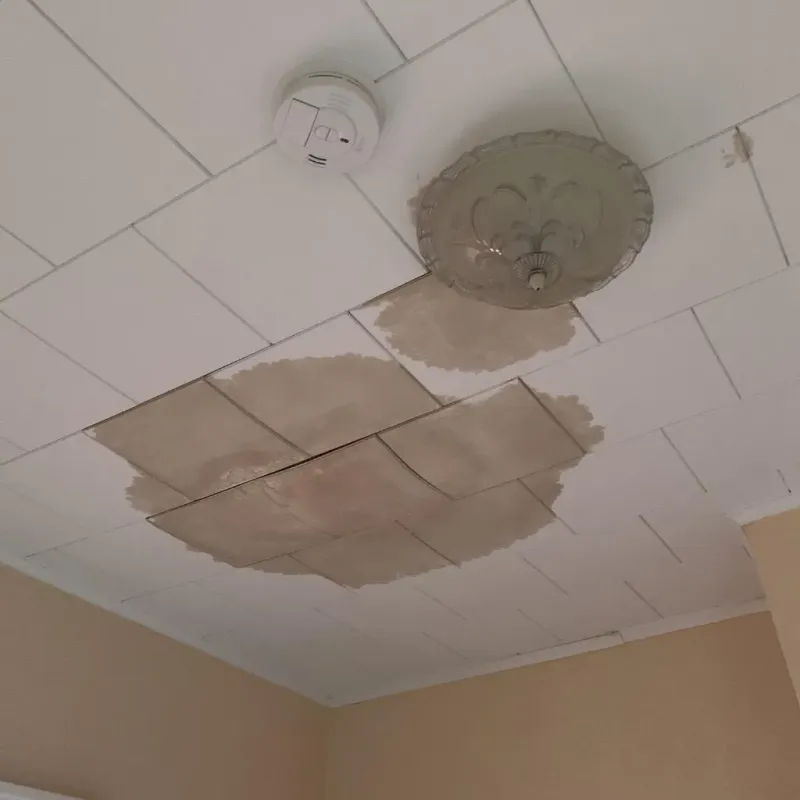 Ceiling Water Damage Repair in Plainfield Village, CT