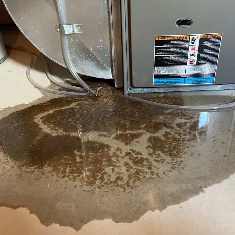 Pipe Burst and Leak Restoration in Plainfield Village, CT